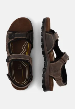 Herren Camel Active Sandalen^Sandalen aus perforiertem Leder